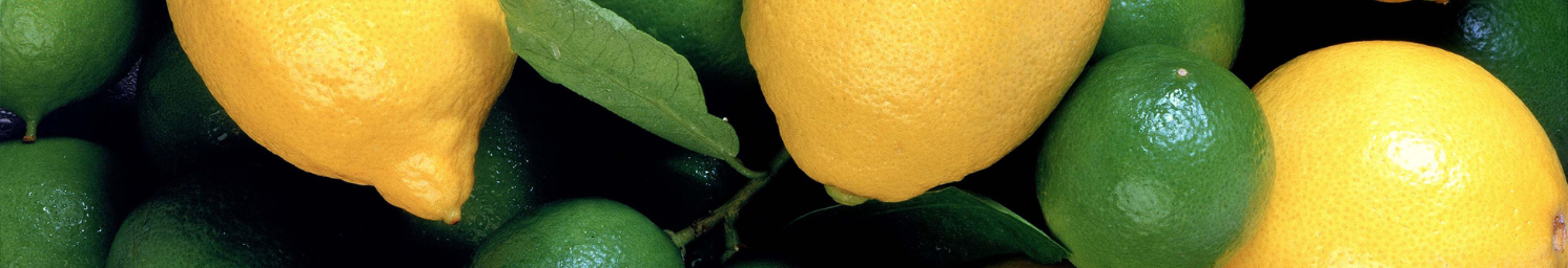 Sicilia - Lemon & Lime Juice | Gourmet Trading Co. | Canada